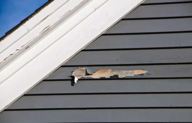 Cowarts, AL Siding Installation & Repair Company